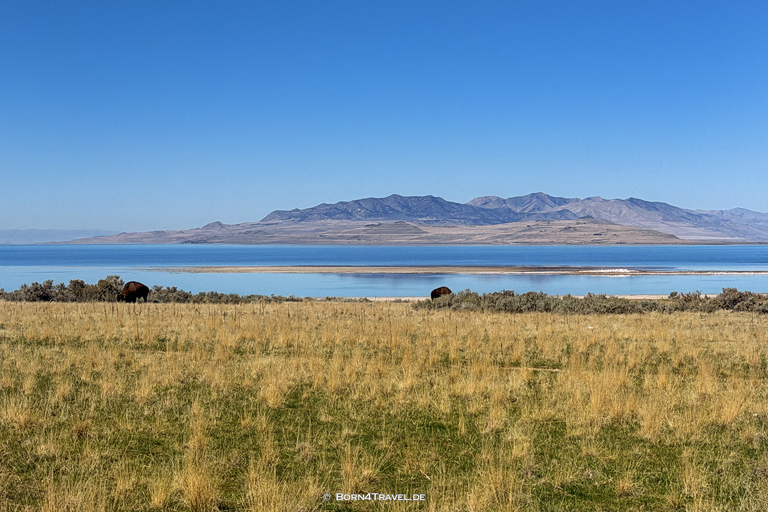 Antelope Islandl,Salt Lake City,Utah,USA2025,born4travel.de