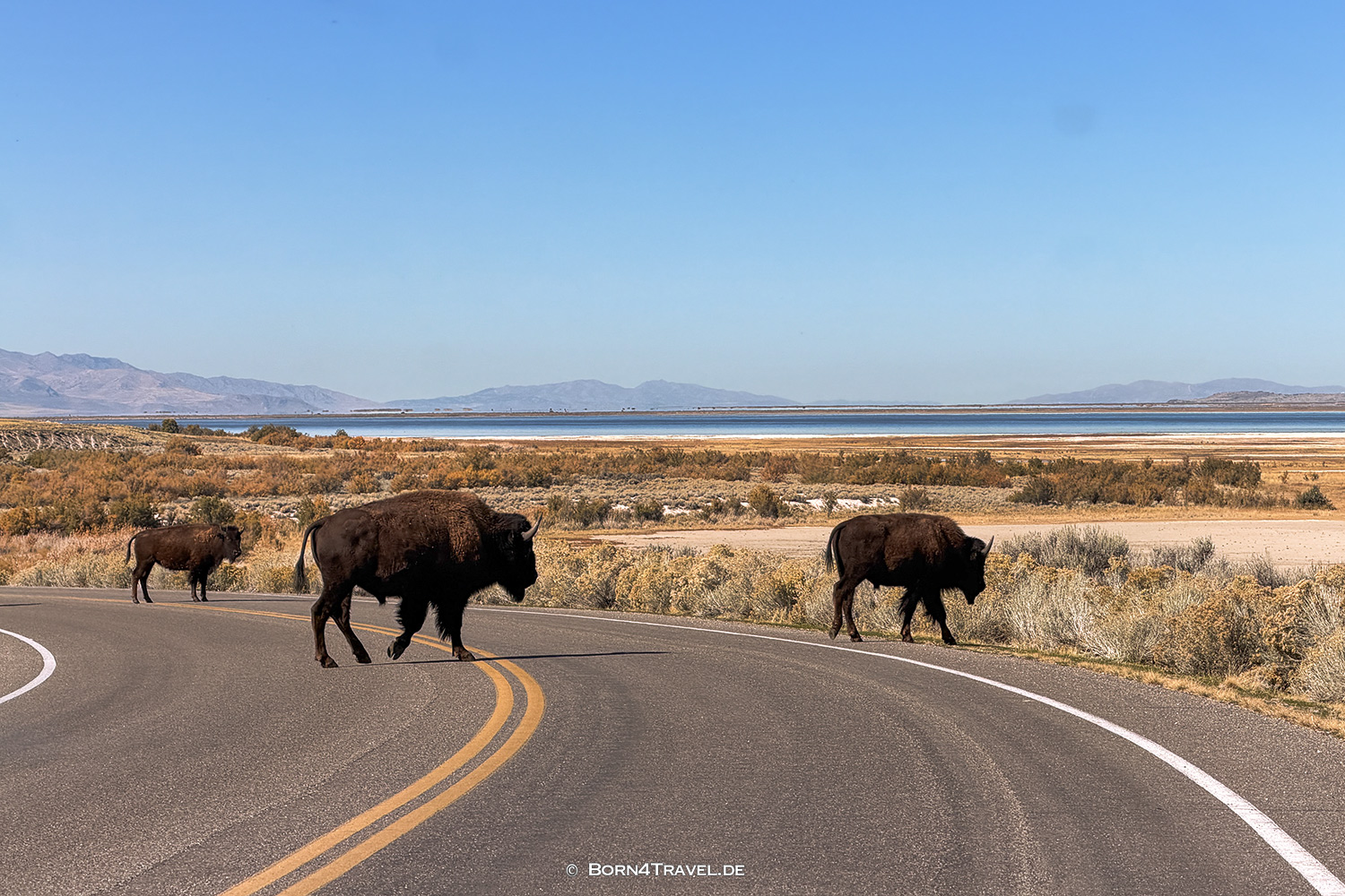 Antelope Islandl,Salt Lake City,Utah,USA2025,born4travel.de