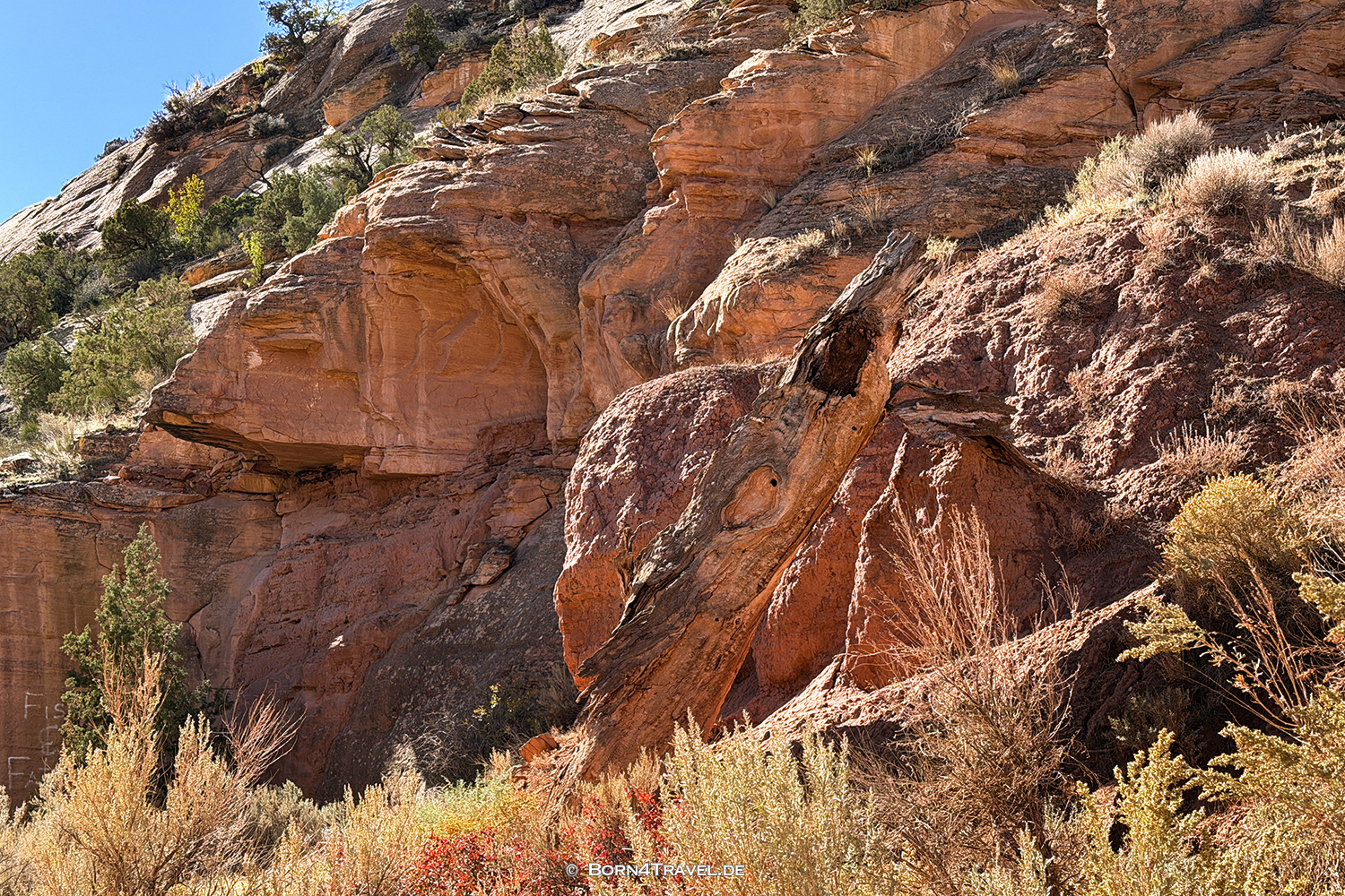 Dinosaur National Park,Vernal, Utah,USA2025,born4travel.de
