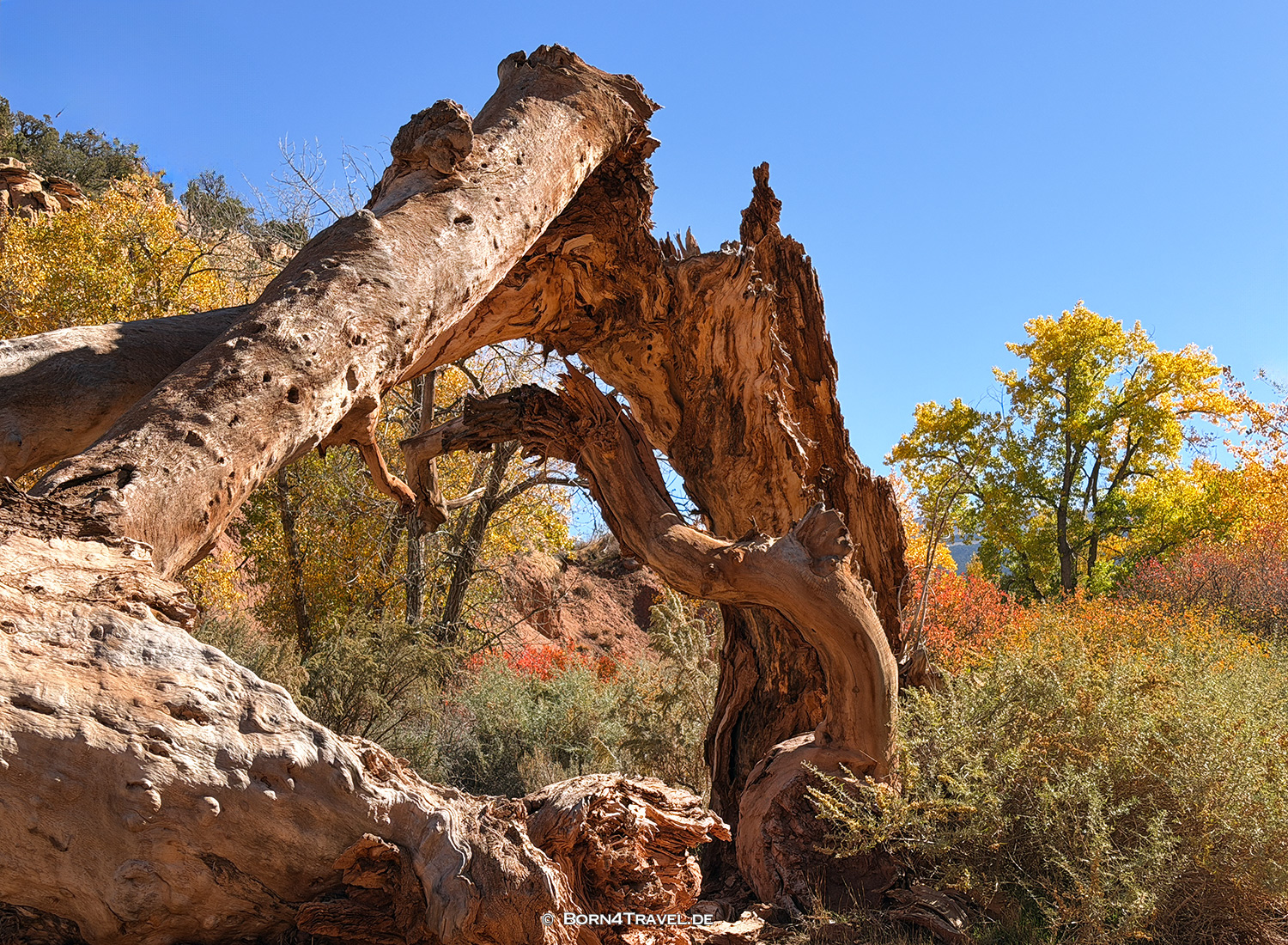 Dinosaur National Park,Vernal, Utah,USA2025,born4travel.de