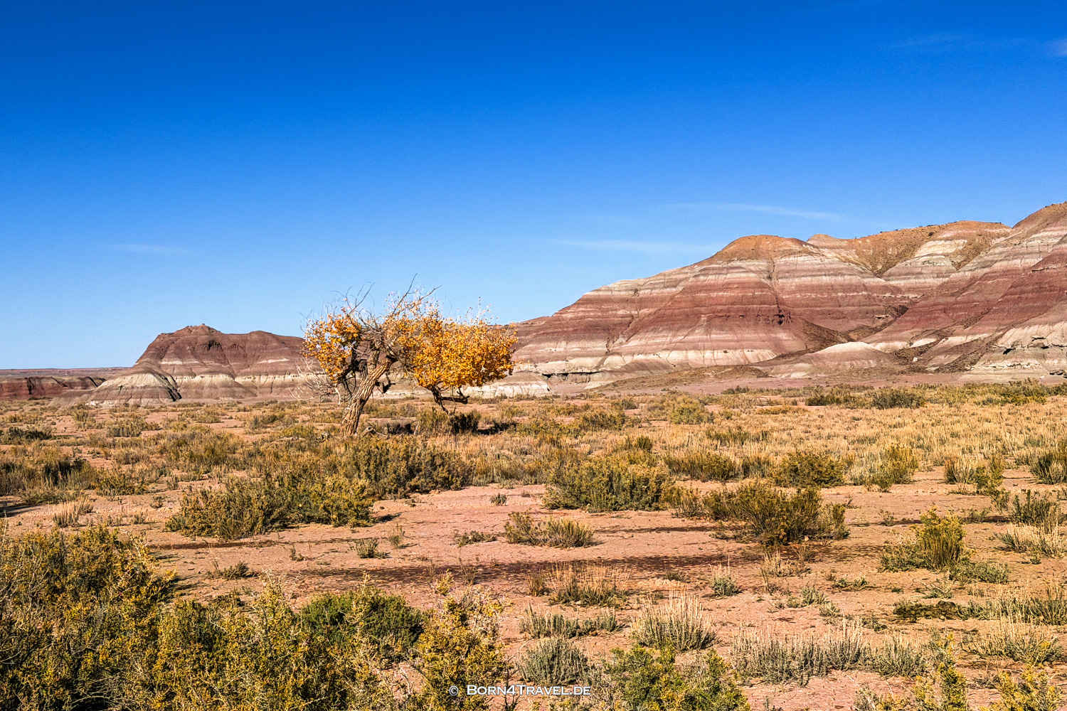 Uinta Basin, USA2025,born4travel.de