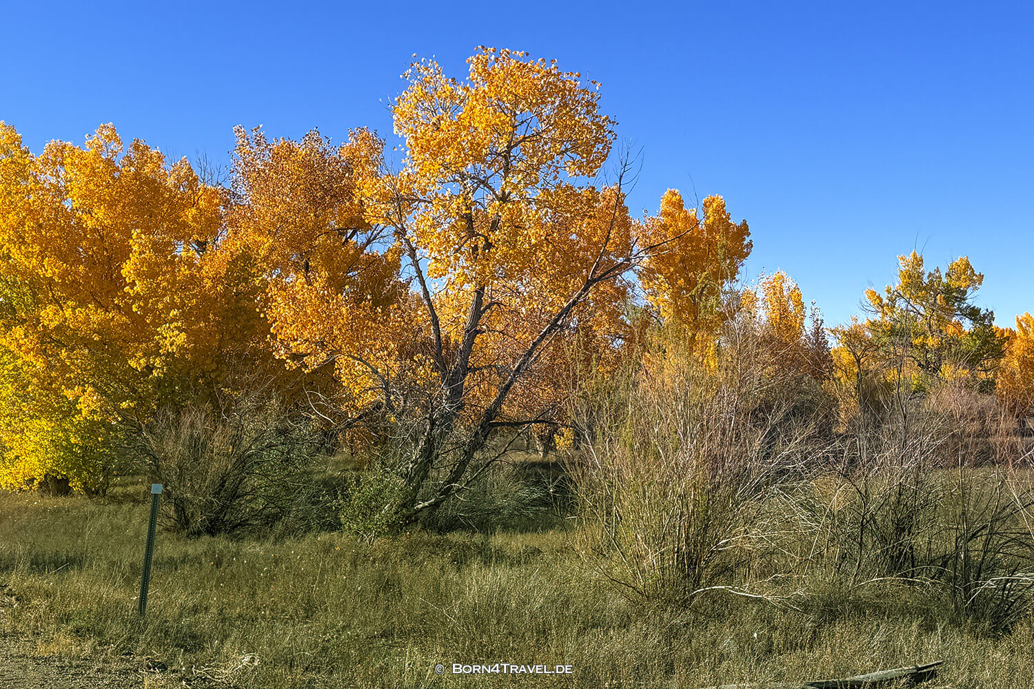 Uinta Basin, USA2025,born4travel.de
