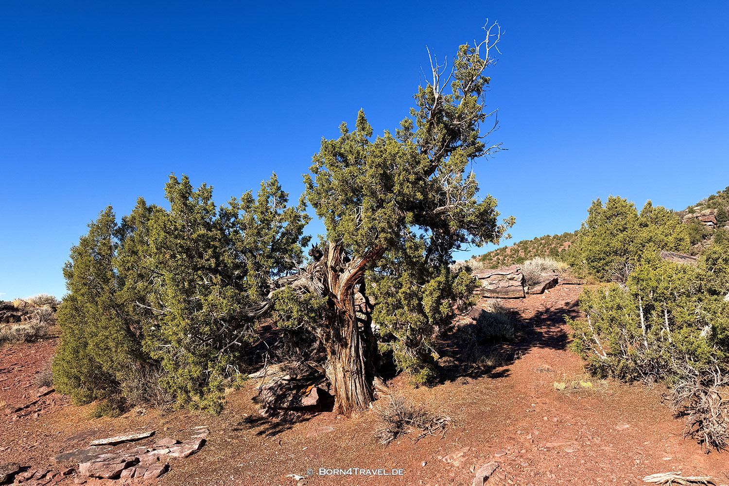 Gates of Lodore,ColoradoUSA2025,born4travel.de