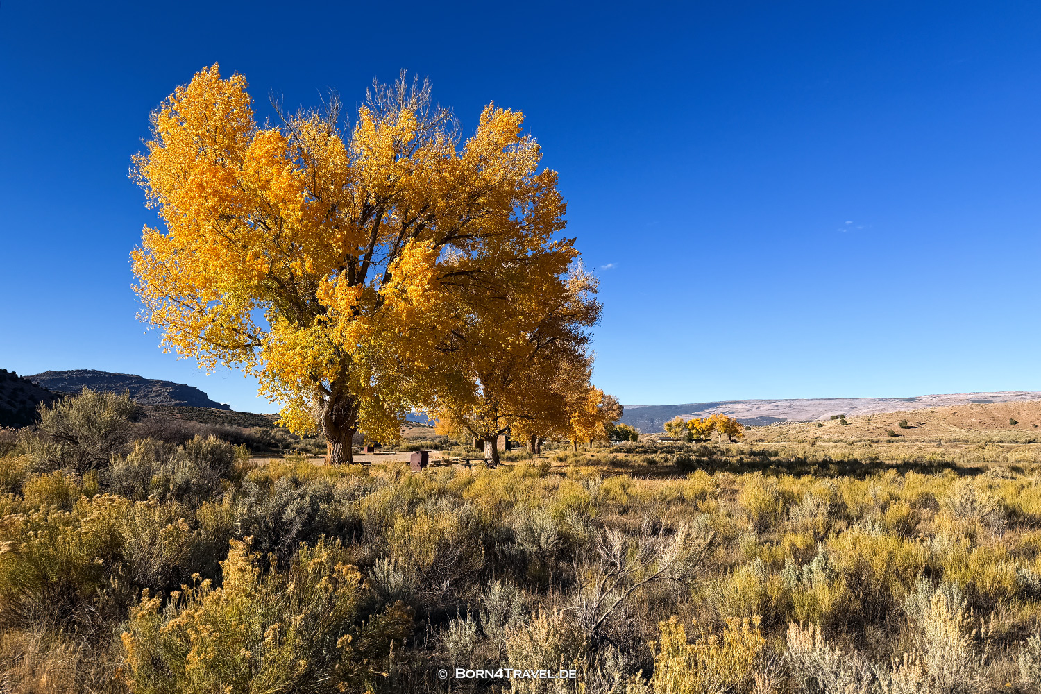 Gates of Lodore,ColoradoUSA2025,born4travel.de