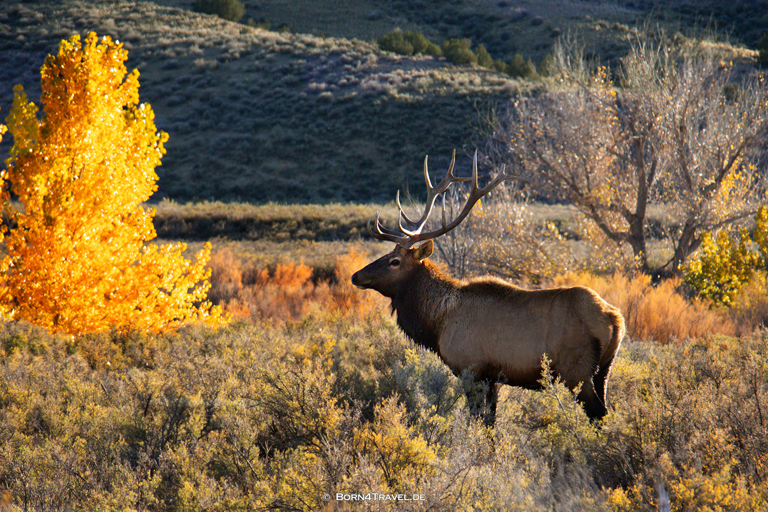 Colorado,USA2025,born4travel.de