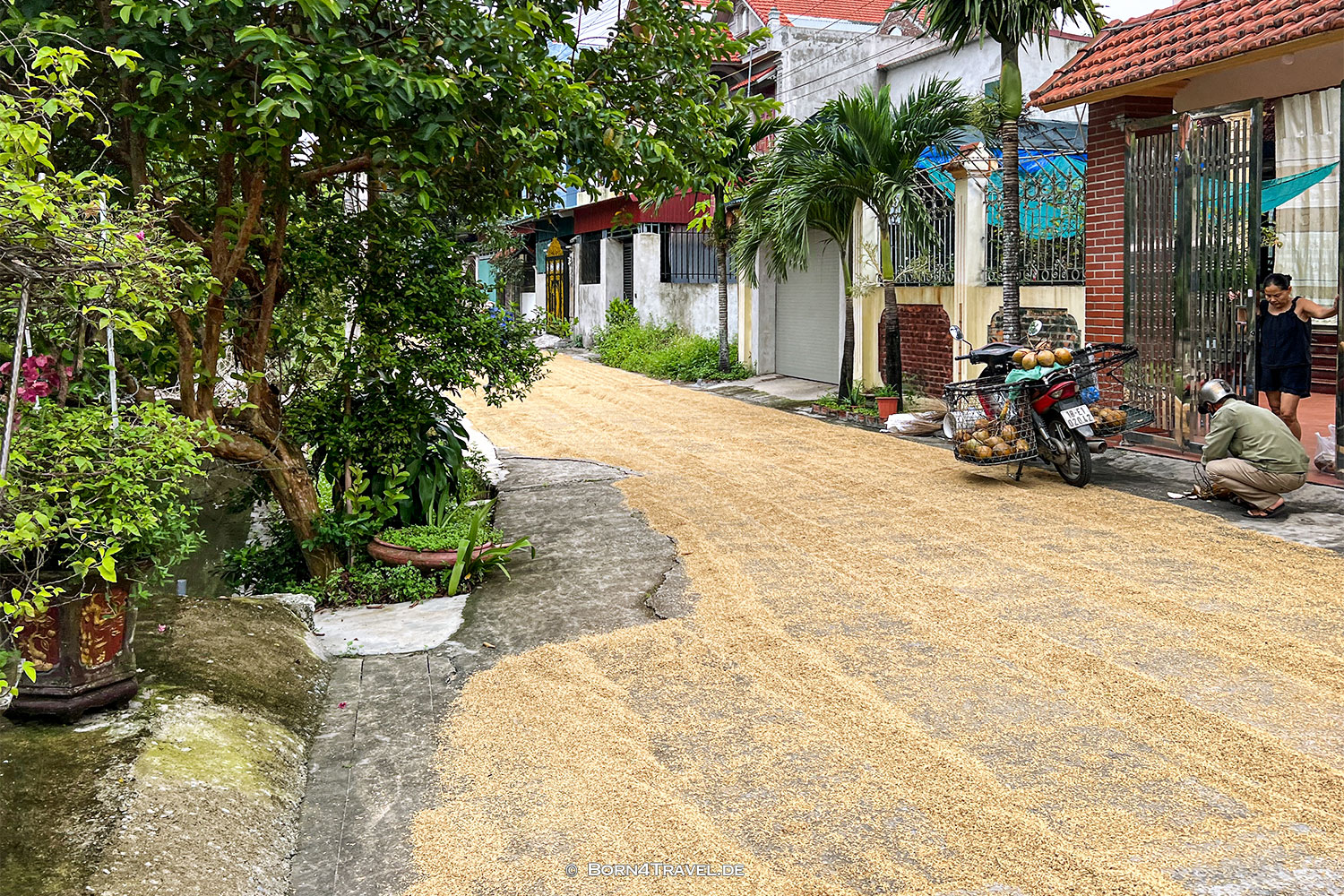 Tam Cốc,Vietnam,born4travel