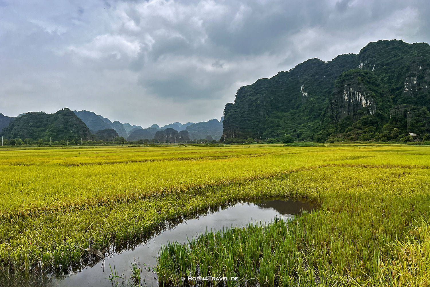Tam Cốc,Vietnam,born4travel