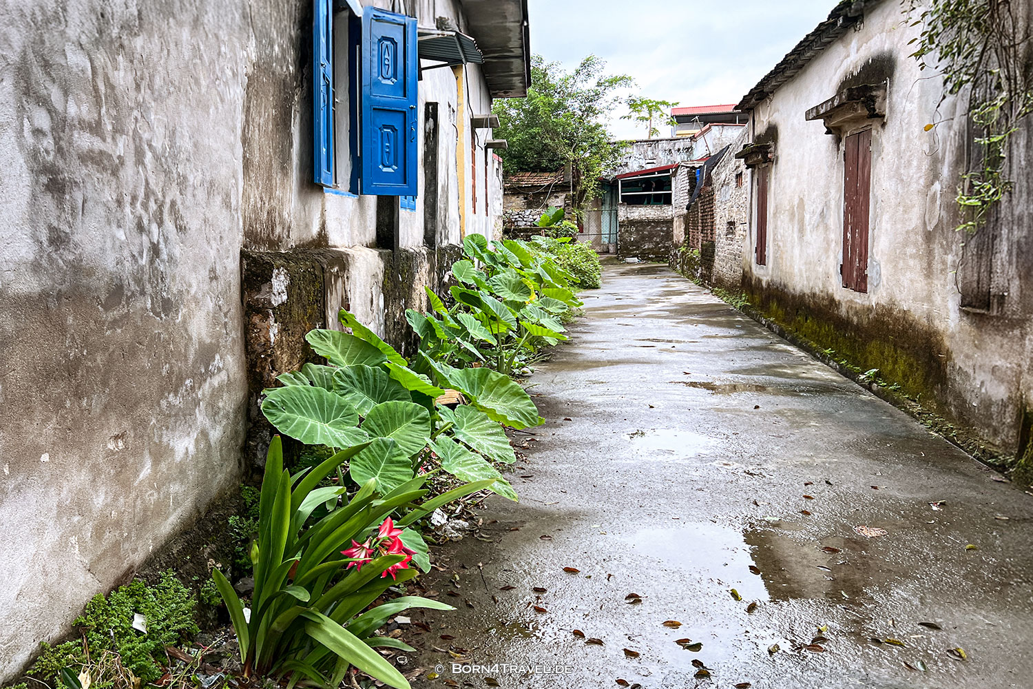 Hang Mua nach Tam Cốc,Vietnam,born4travel