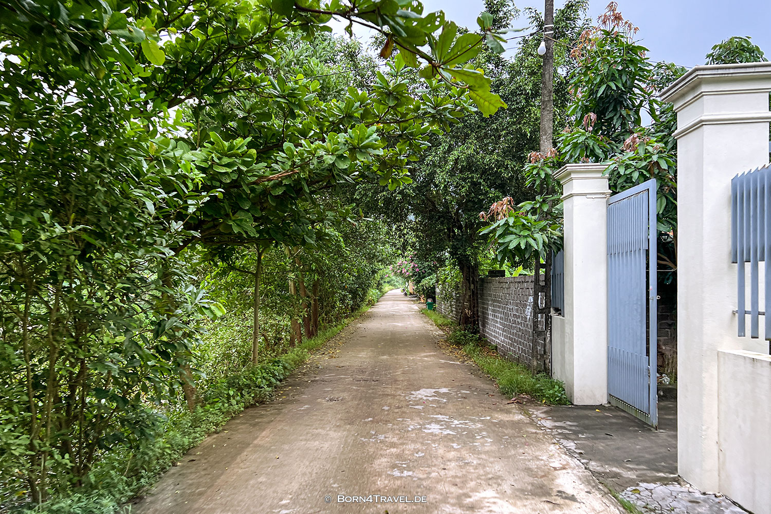 Hang Mua nach Tam Cốc,Vietnam,born4travel