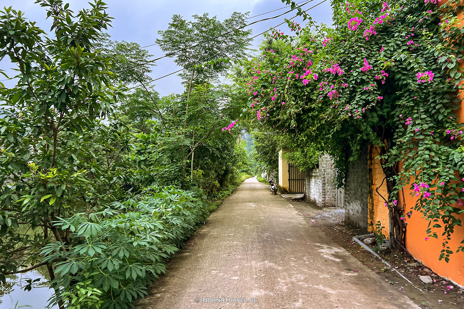 Hang Mua nach Tam Cốc,Vietnam,born4travel