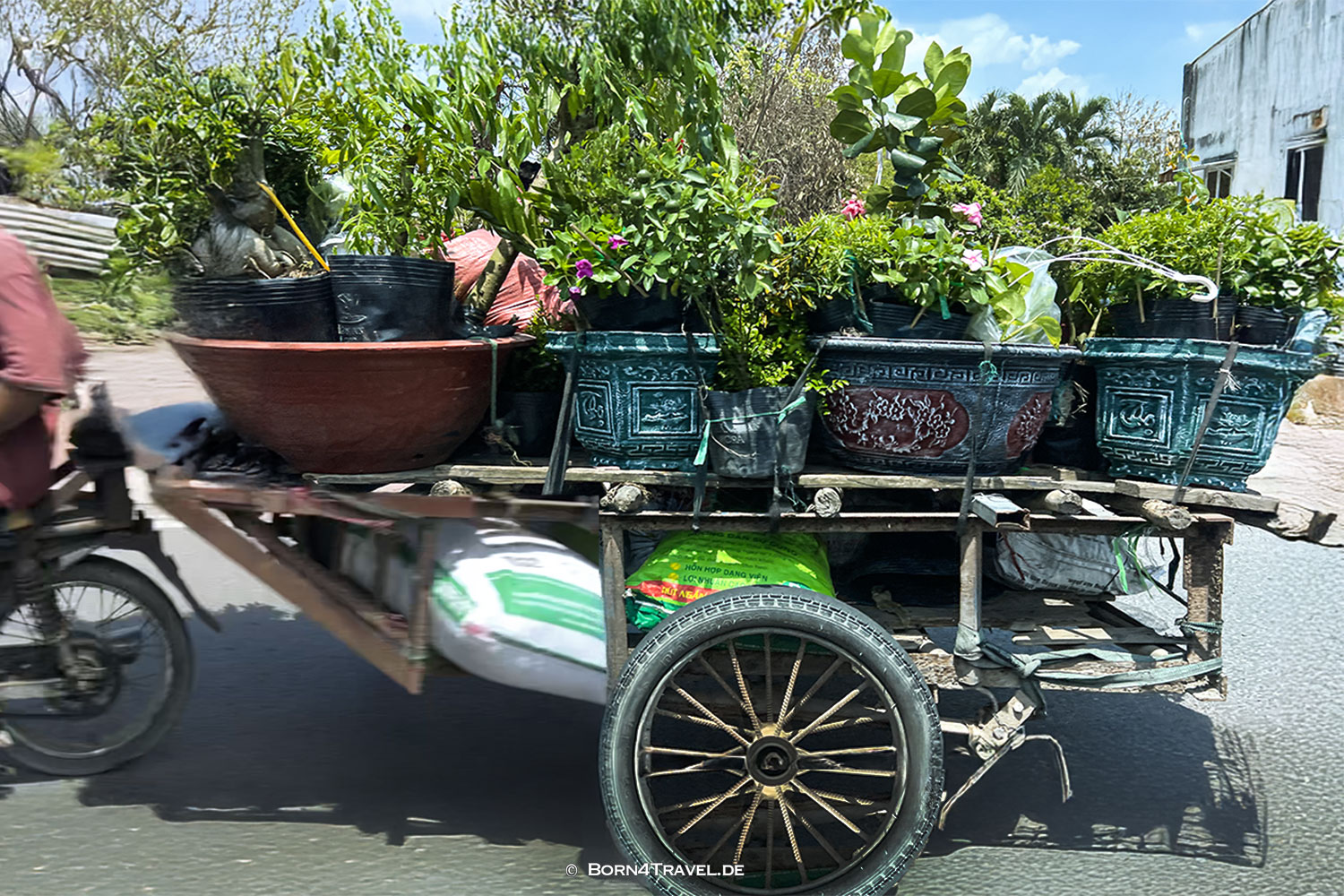 Viet-Scooter,Vietnam2025,born4travel.de Viet-Scooter,Vietnam2025,born4travel.de