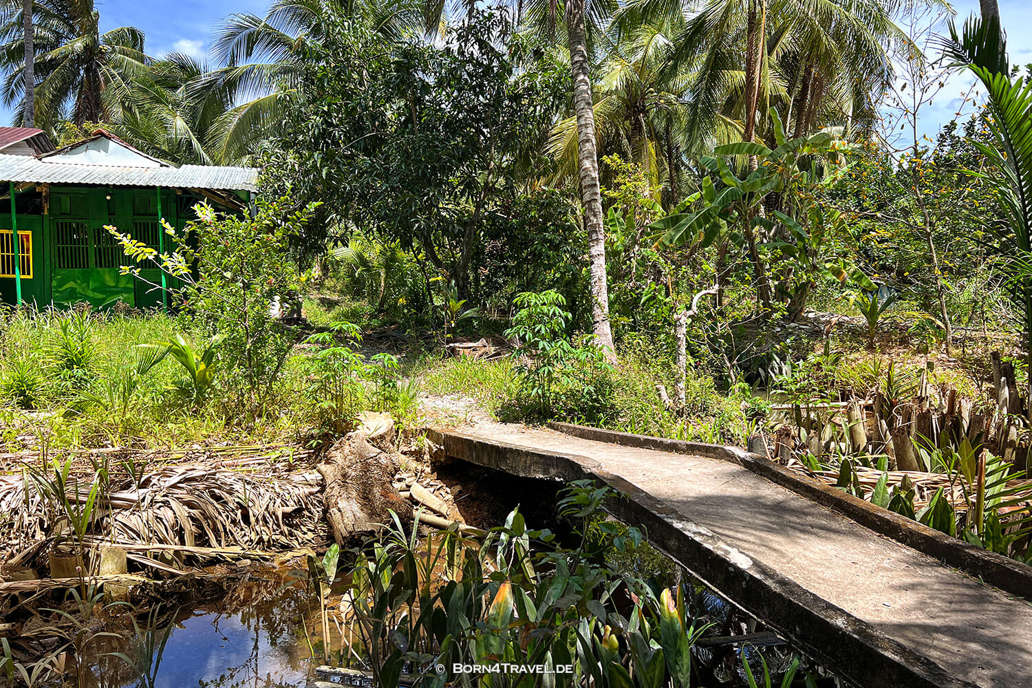 Mekong Ben Tre,Vietnam2025,born4travel.de Mekong Ben Tre,Vietnam2025,born4travel.de