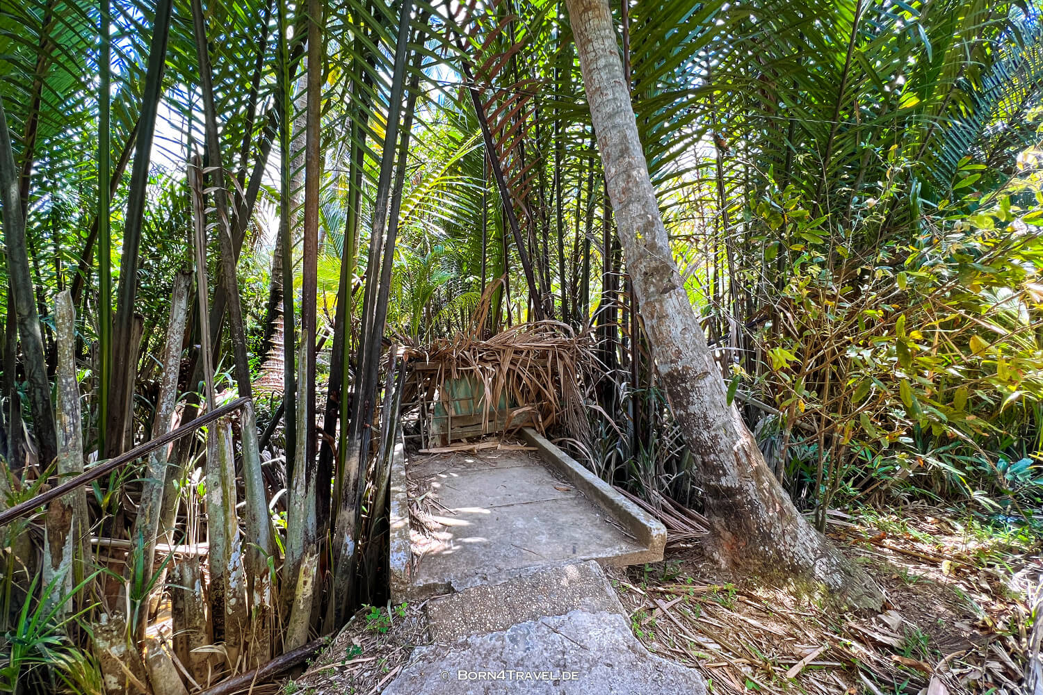 Mekong Ben Tre,Vietnam2025,born4travel.de Mekong Ben Tre,Vietnam2025,born4travel.de