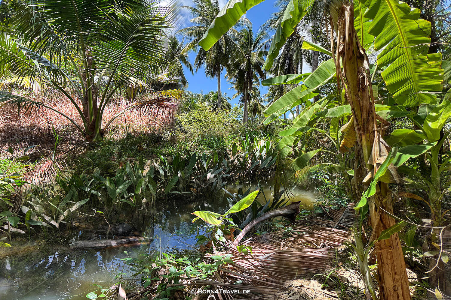 Mekong Ben Tre,Vietnam2025,born4travel.de Mekong Ben Tre,Vietnam2025,born4travel.de