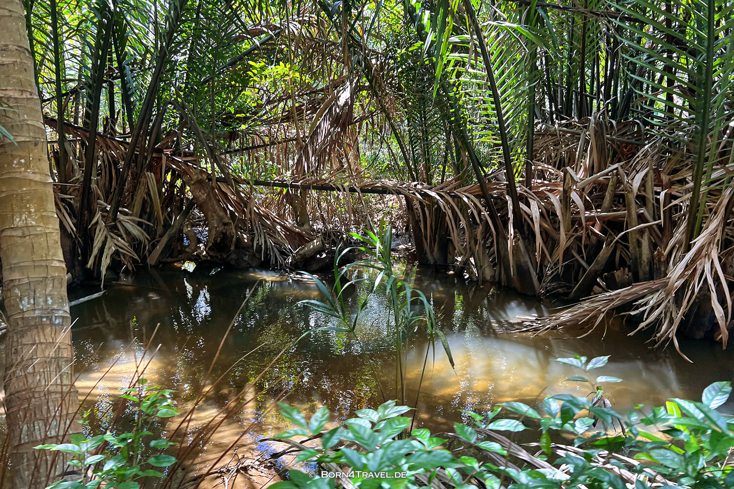 Mekong Ben Tre,Vietnam2025,born4travel.de Mekong Ben Tre,Vietnam2025,born4travel.de