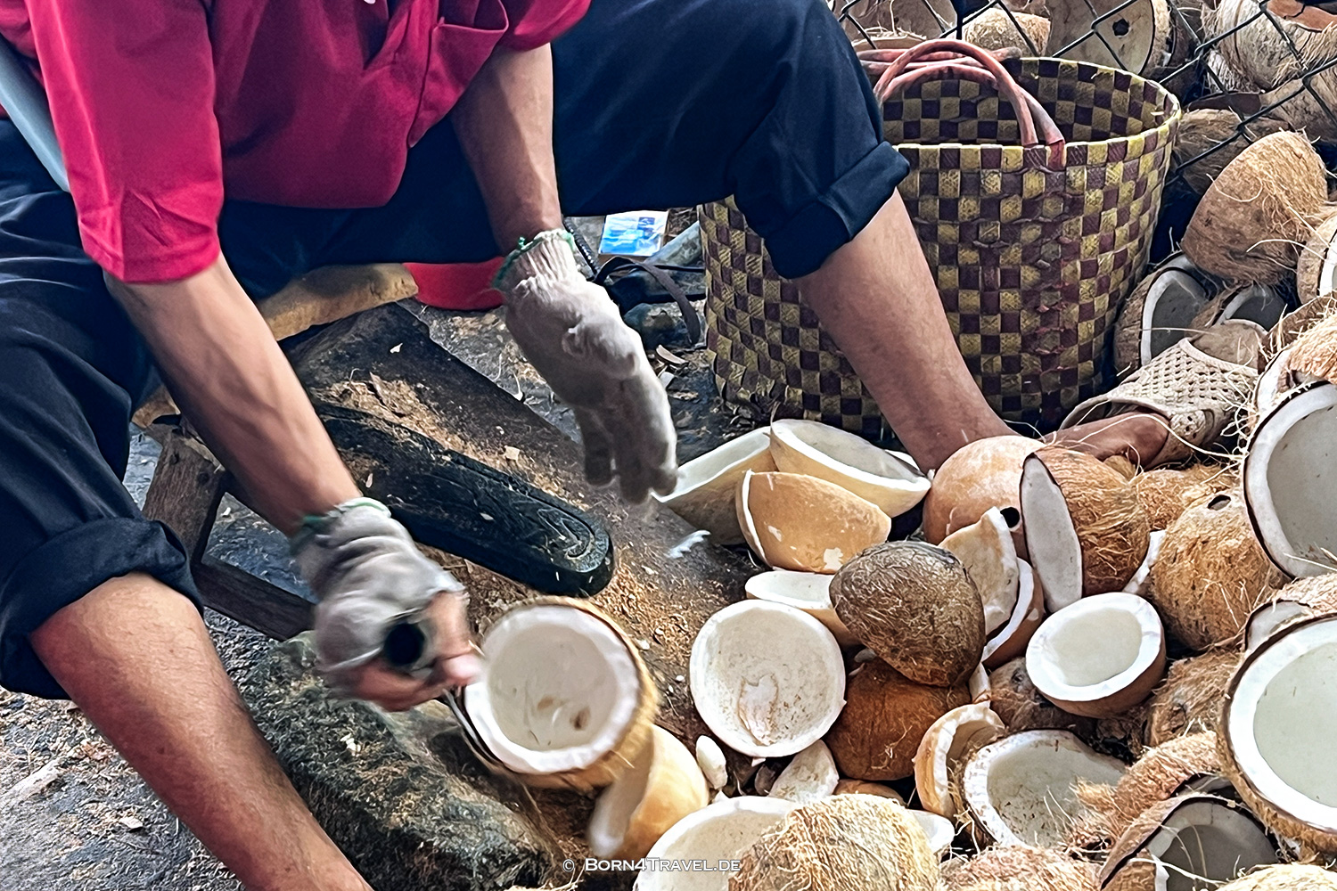 coconut processing company,Mekong Ben Tre,Vietnam2025,born4travel.de coconut processing company,Mekong Ben Tre,Vietnam2025,born4travel.de