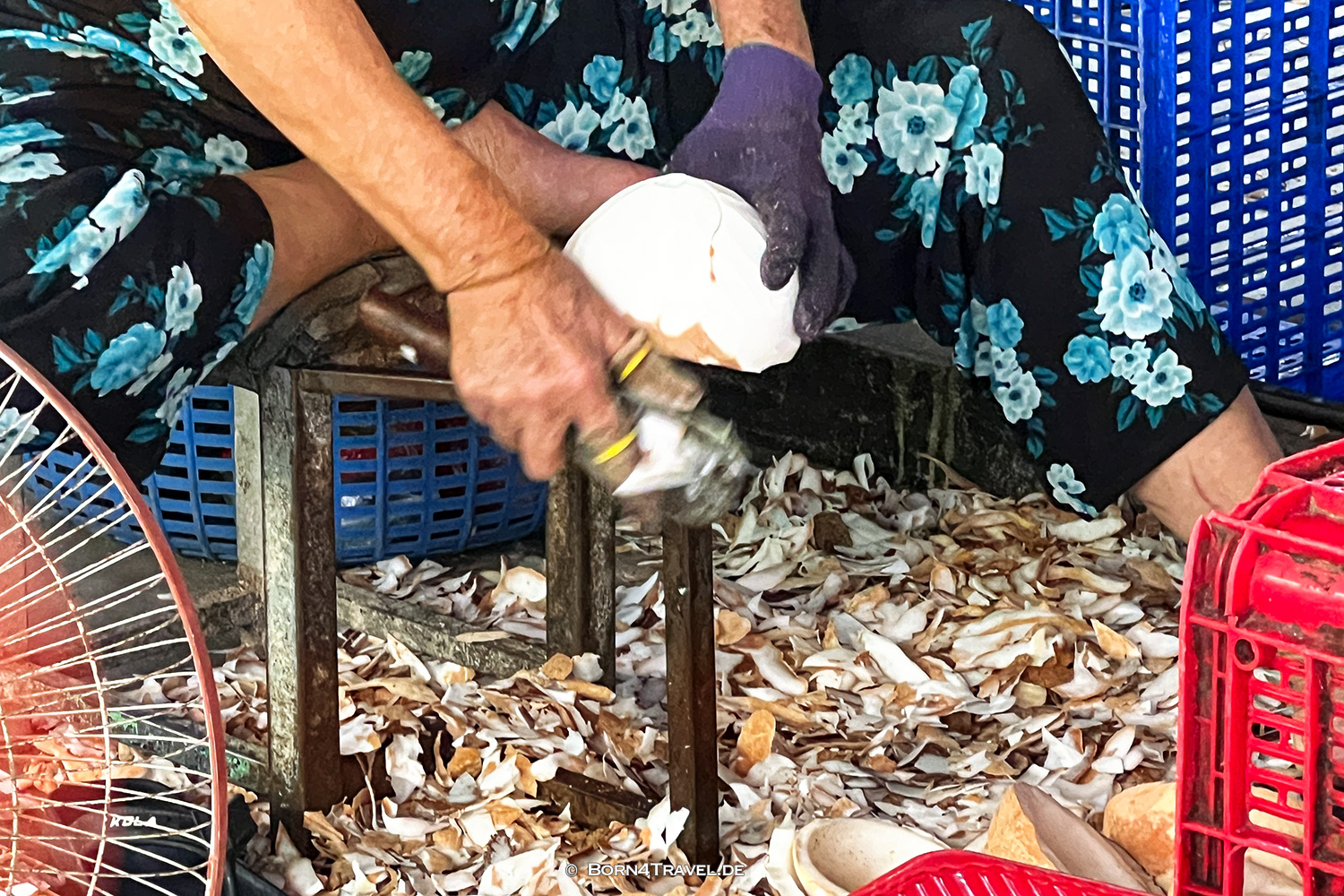 coconut processing company,Mekong Ben Tre,Vietnam2025,born4travel.de coconut processing company,Mekong Ben Tre,Vietnam2025,born4travel.de