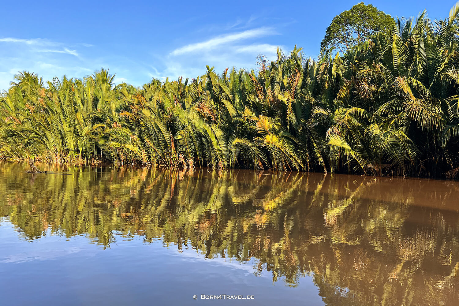 Mekong River Boat Trip,Ben Tre,Vietnam2025,born4travel.de Mekong River Boat Trip,Ben Tre,Vietnam2025,born4travel.de
