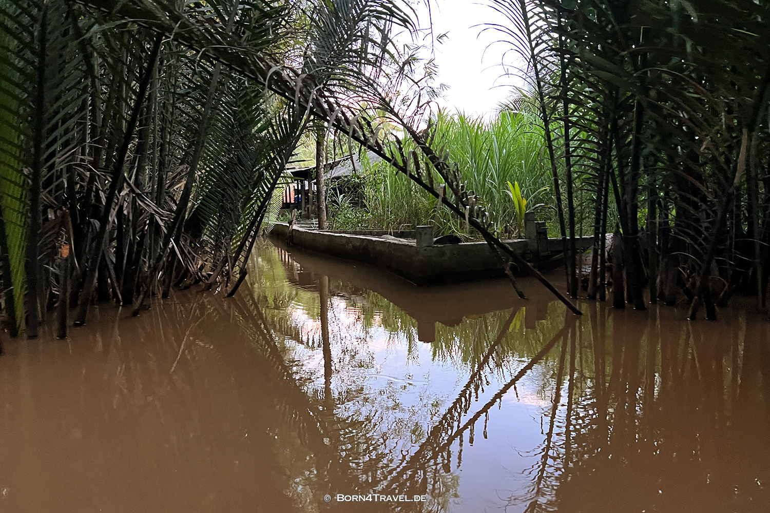 Mekong River Boat Trip,Ben Tre,Vietnam2025,born4travel.de Mekong River Boat Trip,Ben Tre,Vietnam2025,born4travel.de