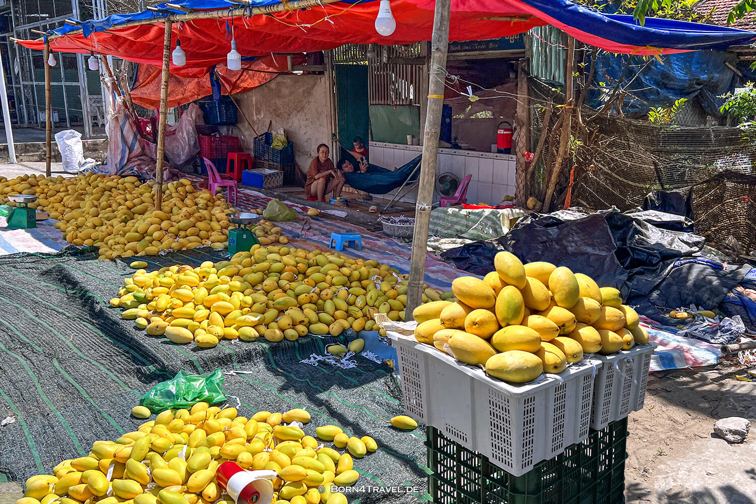 Ben Tre,Vietnam2025,born4travel.de Ben Tre ,Vietnam2025,born4travel.de