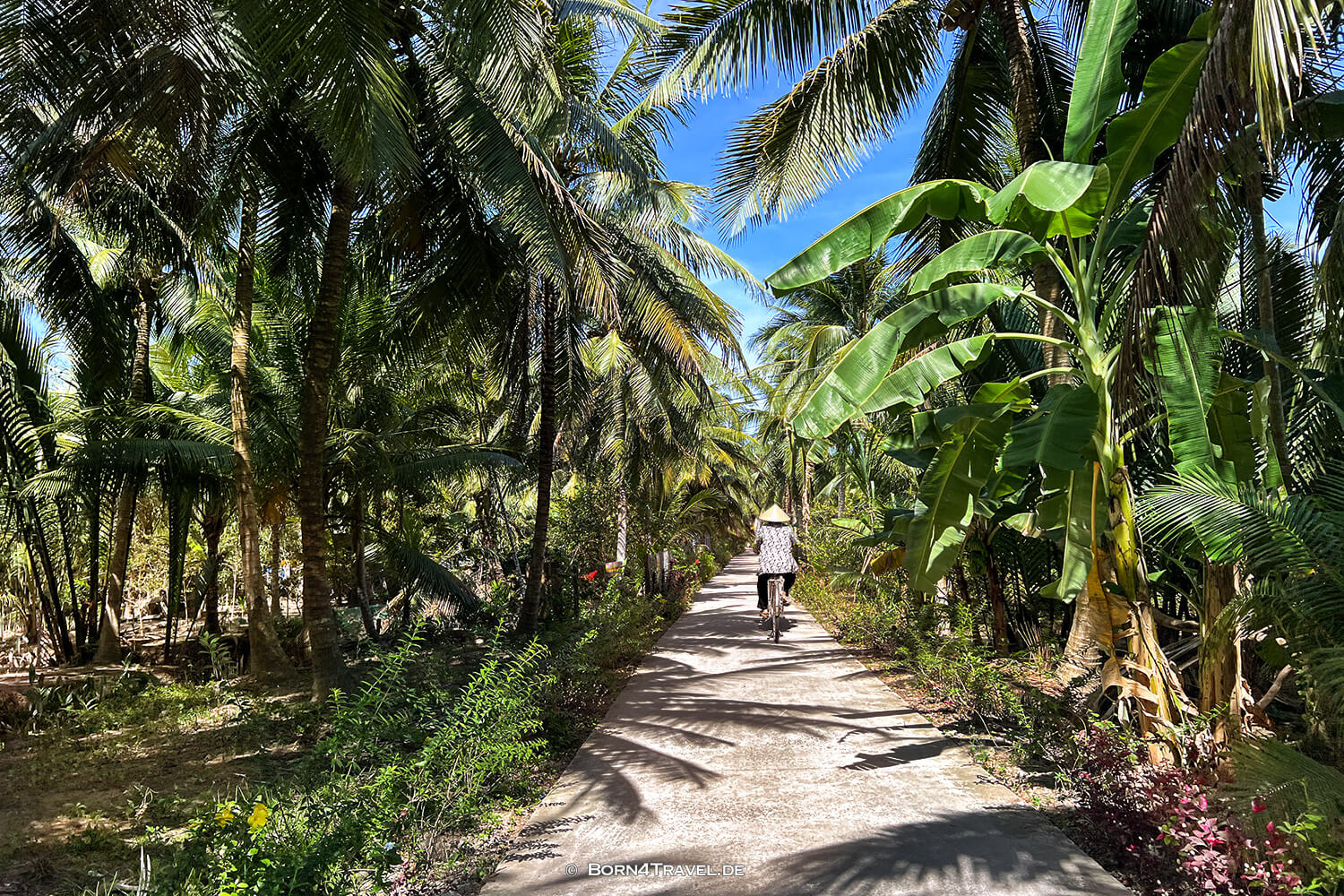Mekong Ben Tre,Vietnam2025,born4travel.de Mekong Ben Tre,Vietnam2025,born4travel.de