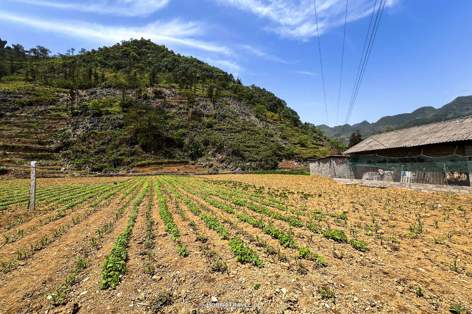 Hmong House,Hà Giang Loop,Vietnam2025,born4travel.de