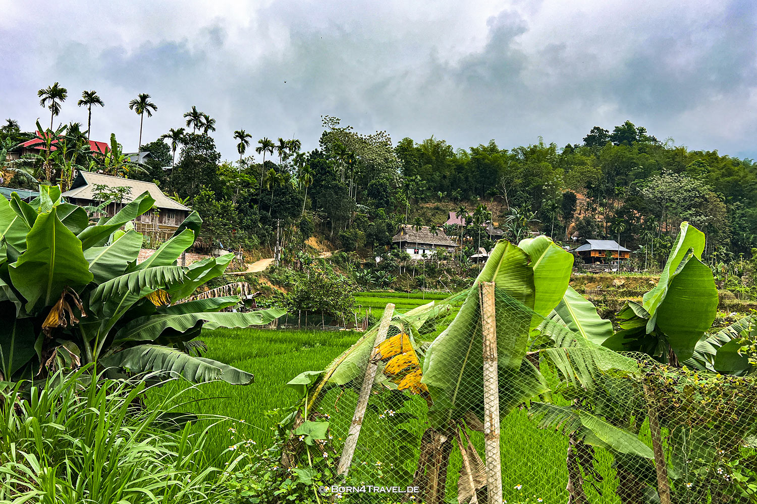 Vietnam2025,born4travel.de Vietnam2025,born4travel.de