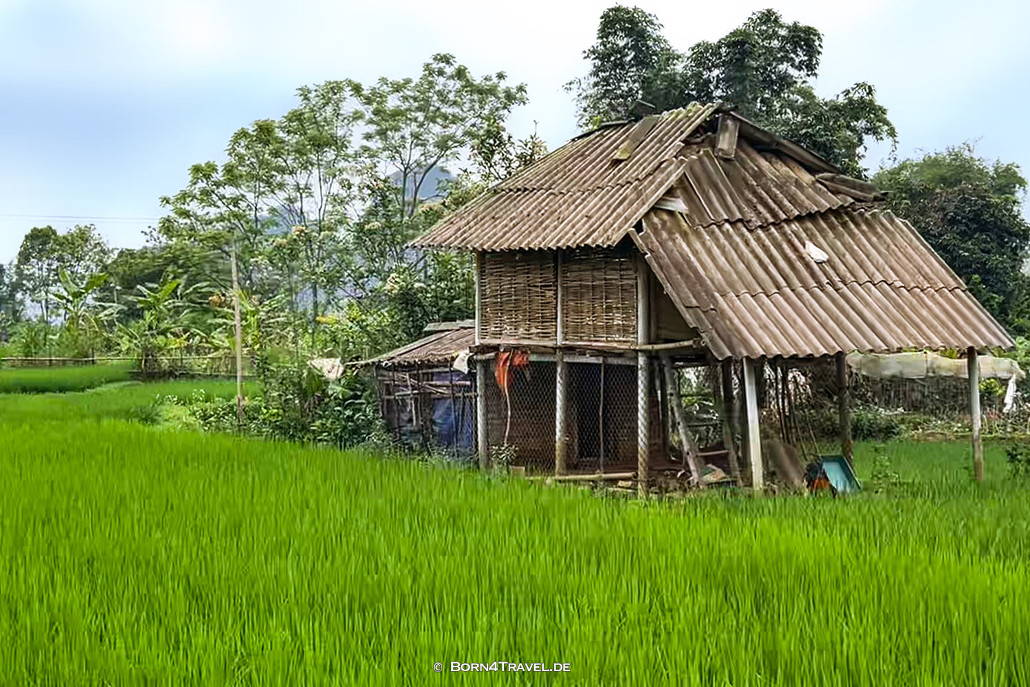 Vietnam2025,born4travel.de Vietnam2025,born4travel.de