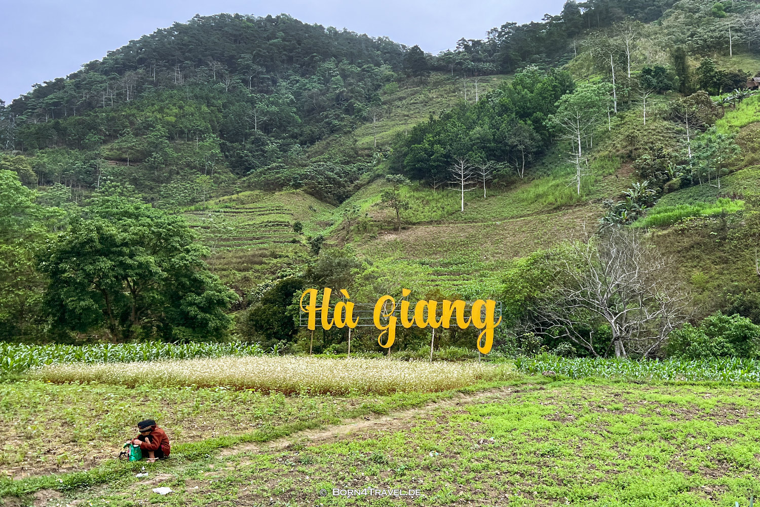 Hà Giang Loop,Vietnam2025,born4travel.de Hà Giang Loop,Vietnam2025,born4travel.de
