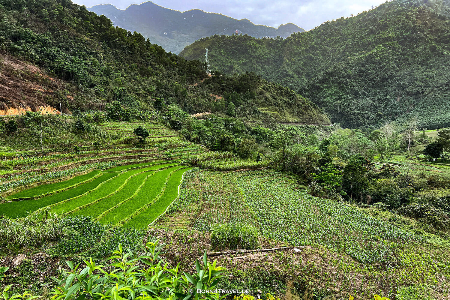 Hà Giang Loop,Vietnam2025,born4travel.de Hà Giang Loop,Vietnam2025,born4travel.de
