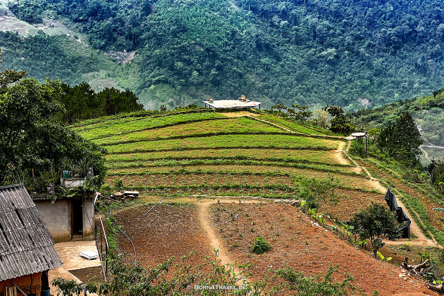 Hà Giang Loop,Vietnam2025,born4travel.de Hà Giang Loop,Vietnam2025,born4travel.de