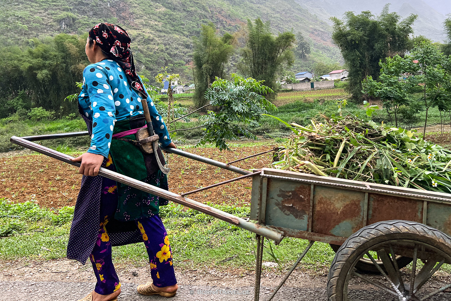 Hà Giang Loop,Vietnam2025,born4travel.de Hà Giang Loop,Vietnam2025,born4travel.de