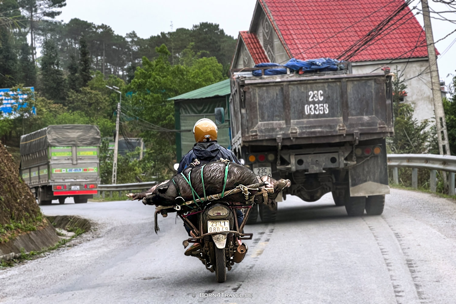 Vietnam2025,born4travel.de Vietnam2025,born4travel.de