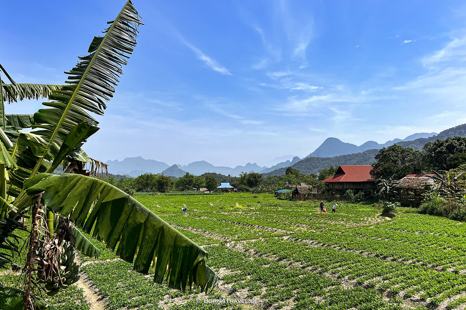 Skybay Lodge Hà Giang,Vietnam2025,born4travel.de Skybay Lodge Hà Giang,Vietnam2025,born4travel.de