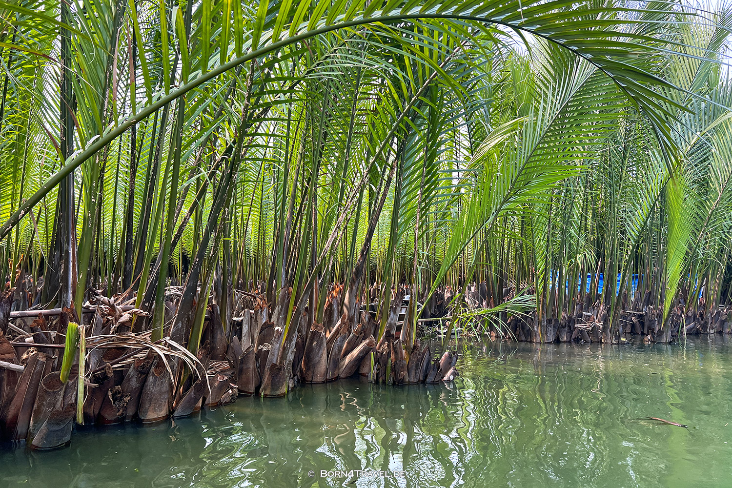 Coconut Basket Boat Tour in Hội An,Vietnam2025,born4travel.de