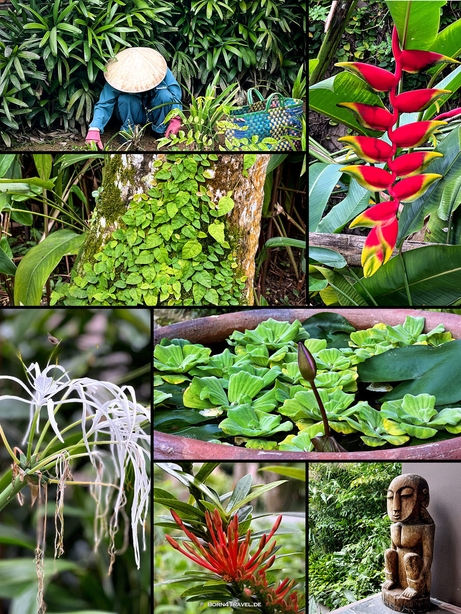 Pilgrimage Village Resort ,Huế,Vietnam2025,born4travel.de