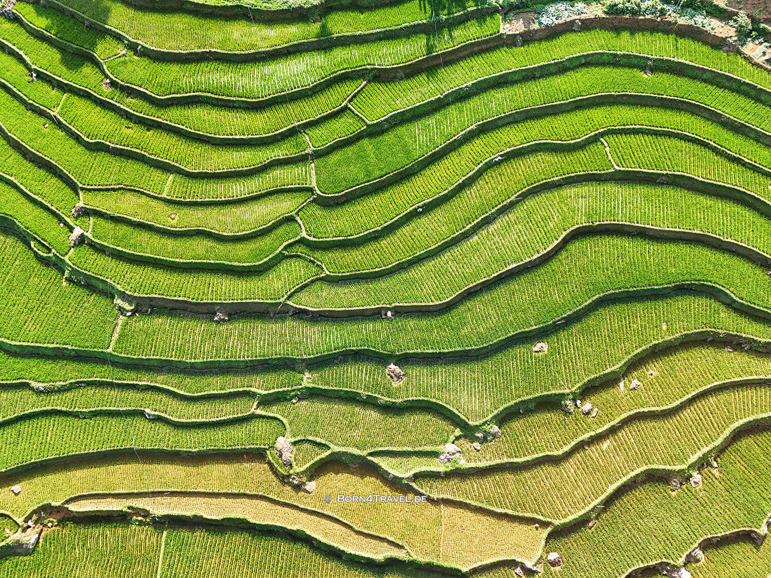 Pu Luông,Vietnam2025,born4travel.de