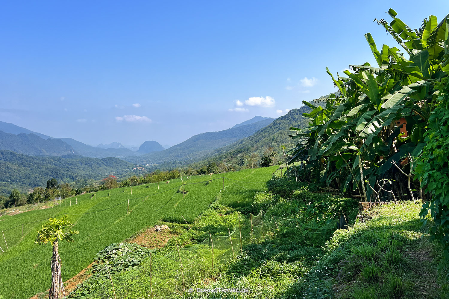 Hanasa Pu Luong Resort,Pu Luông,Vietnam2025,born4travel.de