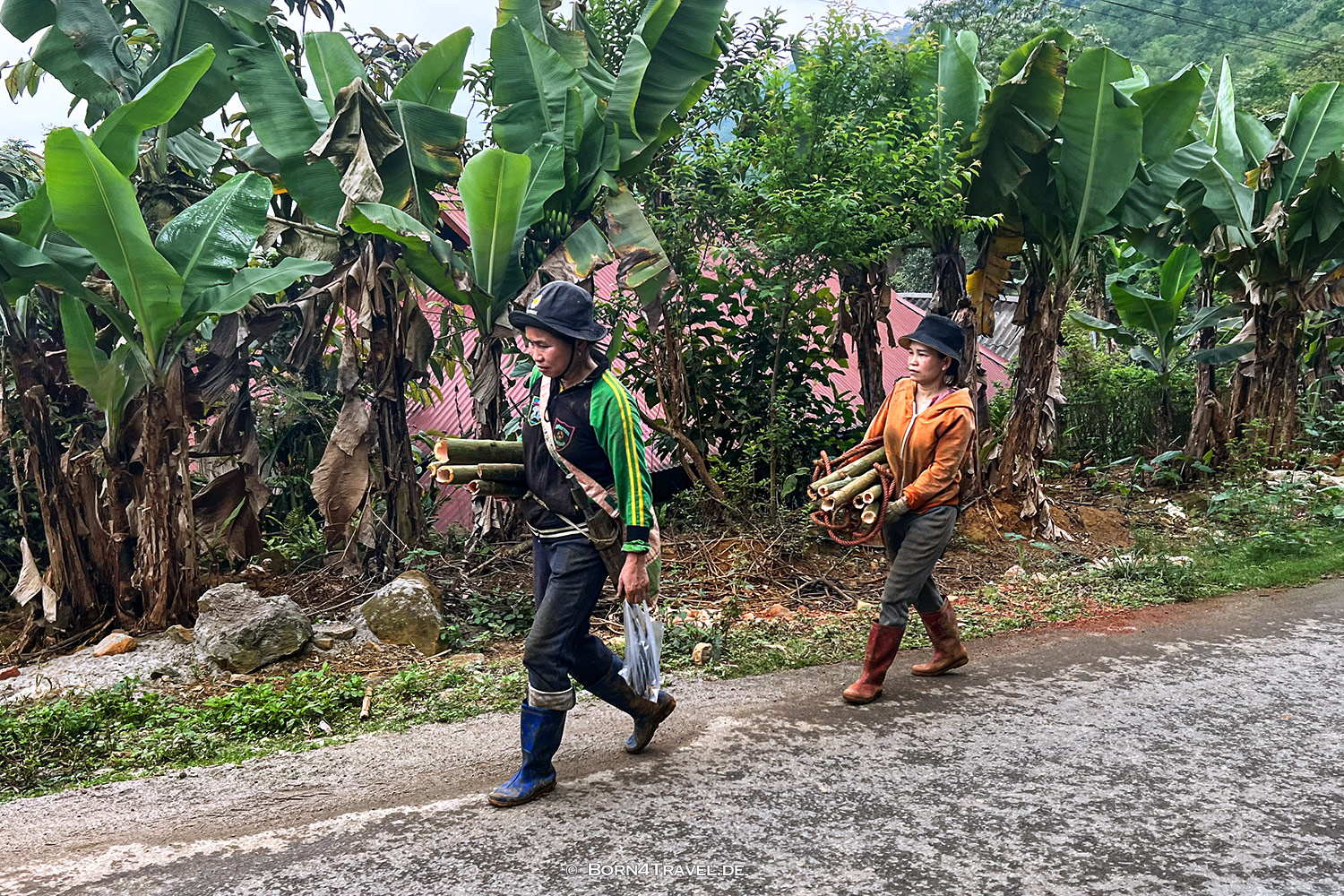 Pu Luông,Vietnam2025,born4travel.de