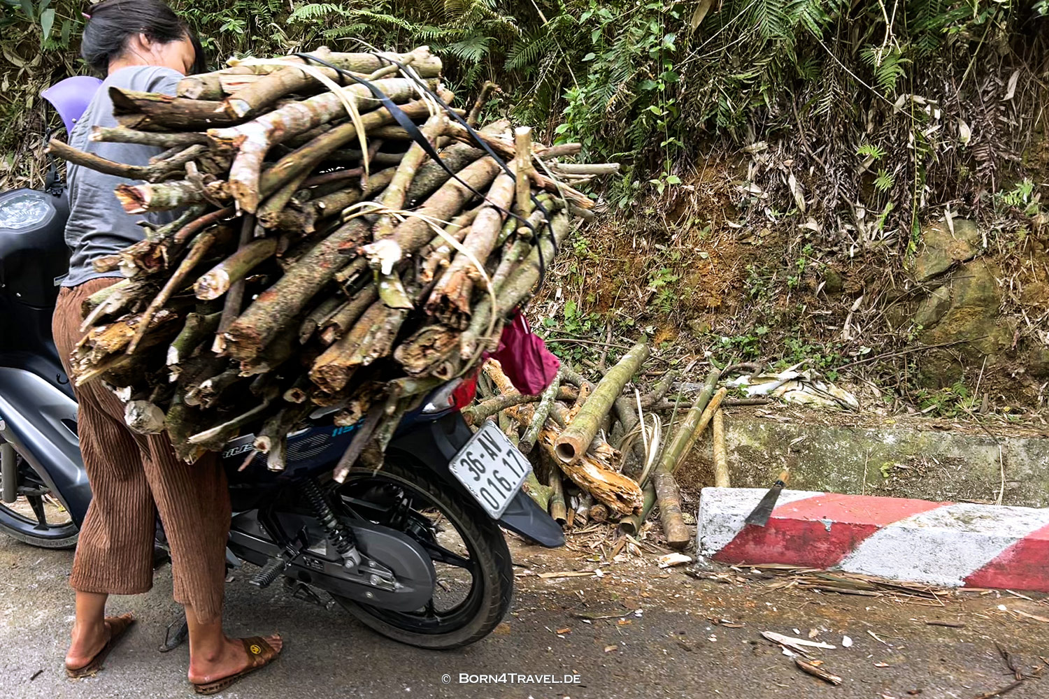Pu Luông,Vietnam2025,born4travel.de