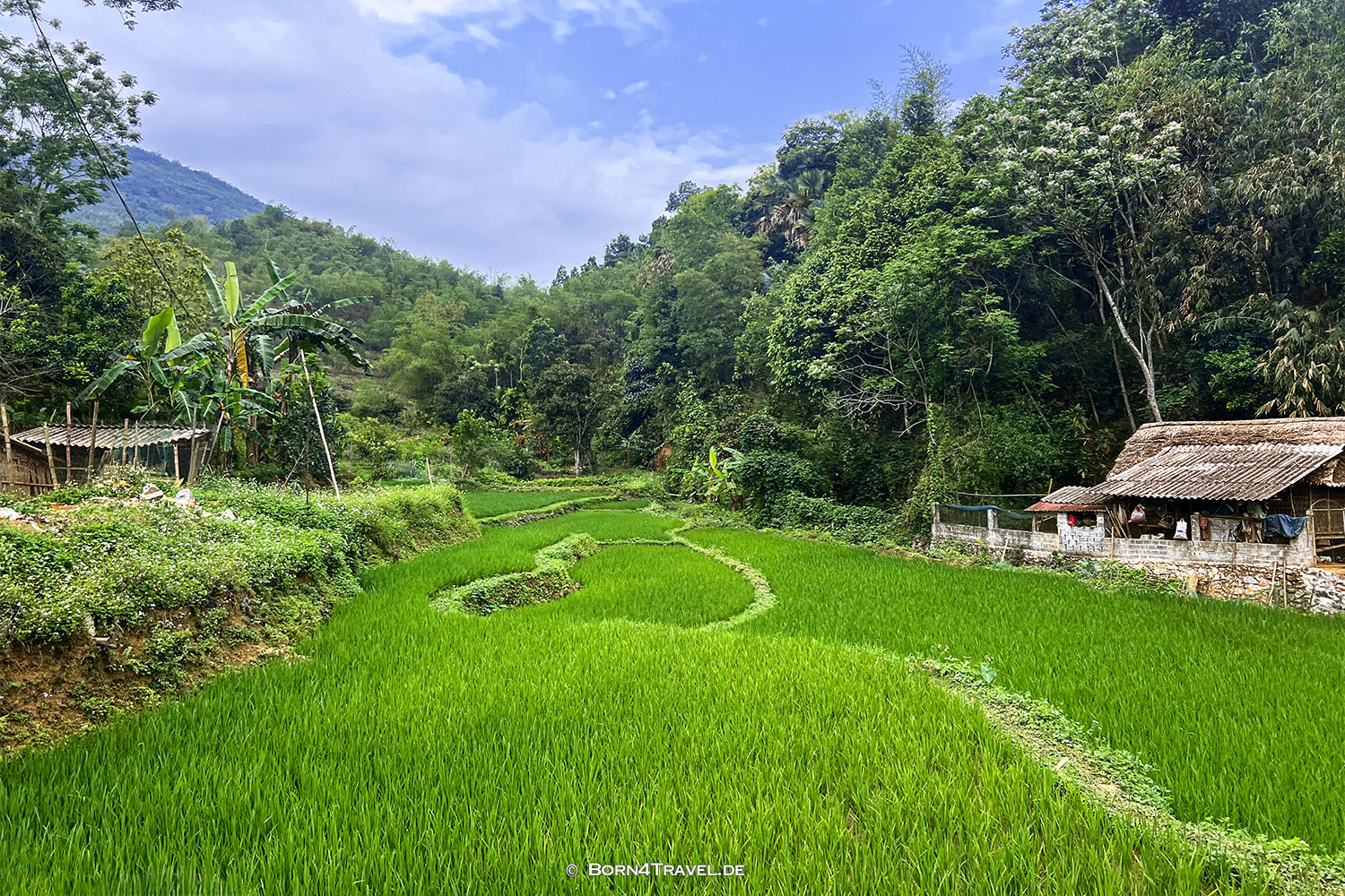 Waterweels Pu Luông,Vietnam2025,born4travel.de