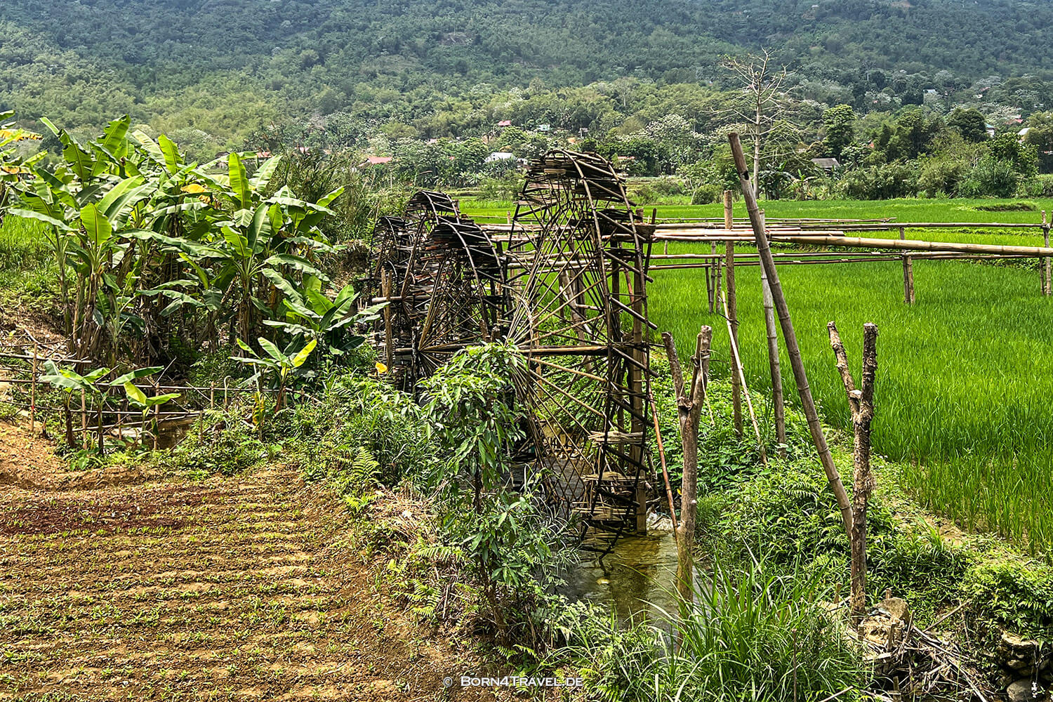 Waterweels Pu Luông,Vietnam2025,born4travel.de
