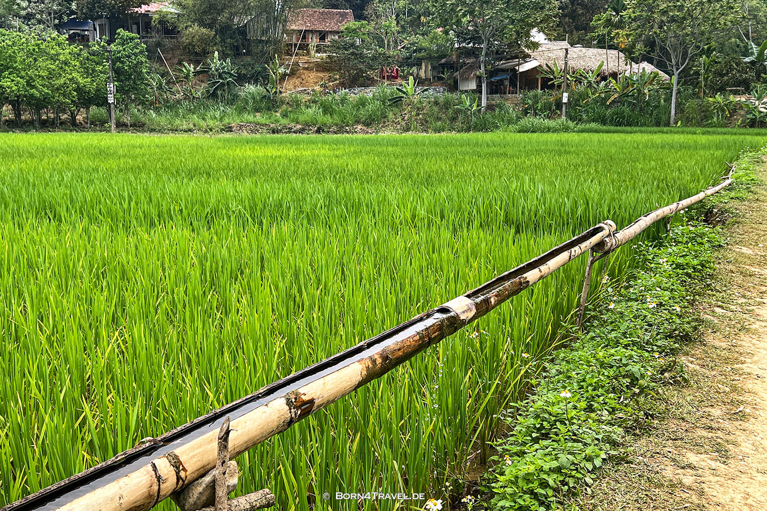 Waterweels Pu Luông,Vietnam2025,born4travel.de