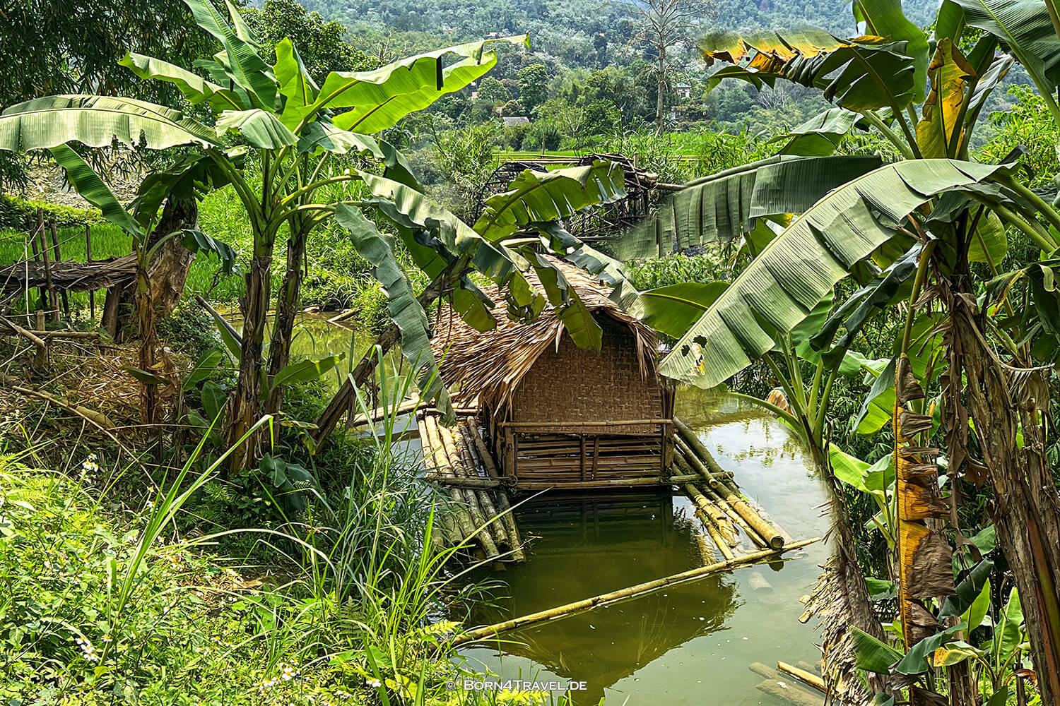 Waterweels Pu Luông,Vietnam2025,born4travel.de
