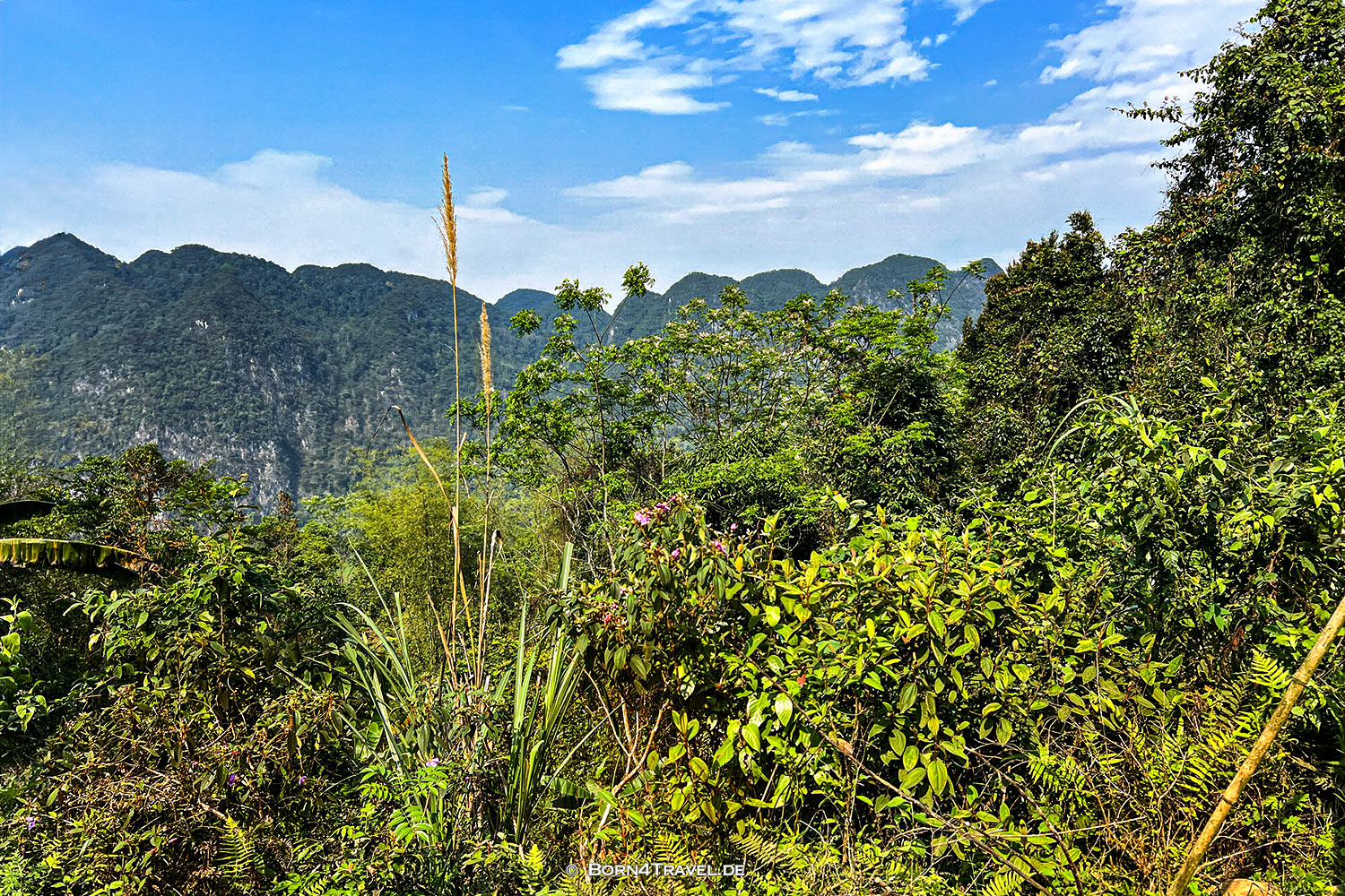  Pu Luông,Vietnam2025,born4travel.de