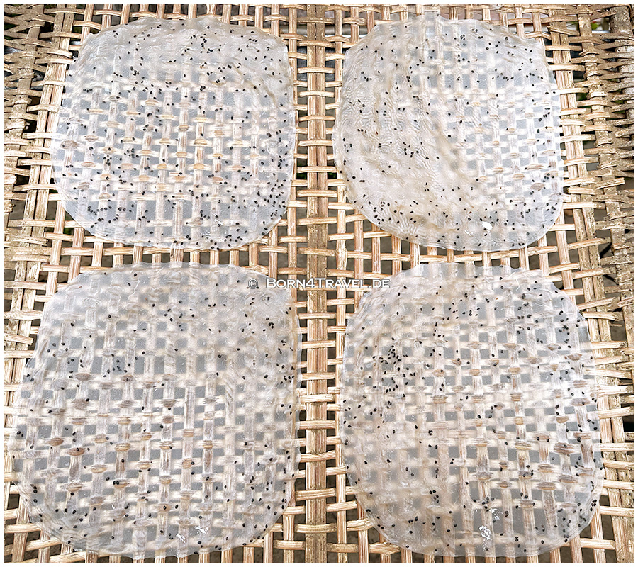 Reispapier-Produktion in Phù Cát,Vietnam2025,born4travel.de Reispapier-Produktion in Phù Cát,,Vietnam2025,born4travel.de
