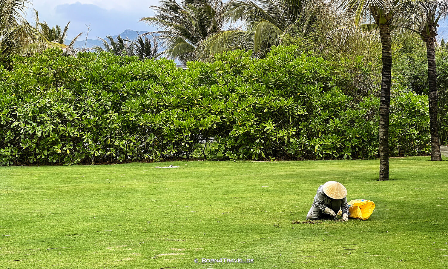 Maia Quy Nhơn,Vietnam2025,born4travel.de Maia Quy Nhơn,Vietnam2025,born4travel.de