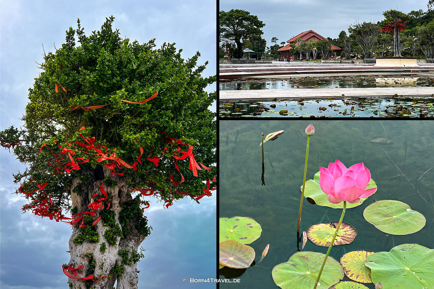 Buddha Statue of Thien Hung Zen Quy Nhơn,Vietnam2025,born4travel.de Buddha Statue of Thien Hung Zen Quy Nhơn,Vietnam2025,born4travel.de