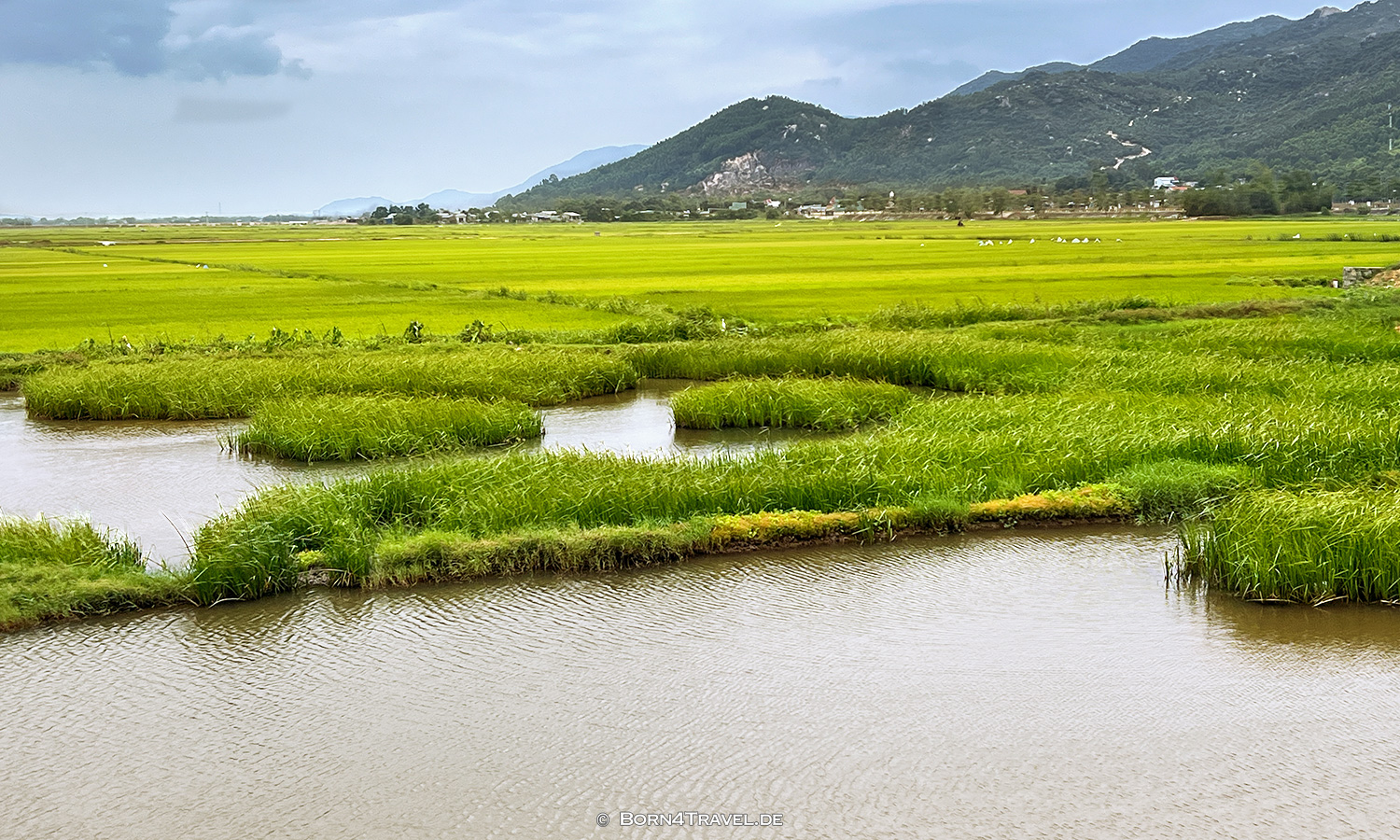 Quy Nhơn,Vietnam2025,born4travel.de Quy Nhơn,Vietnam2025,born4travel.de