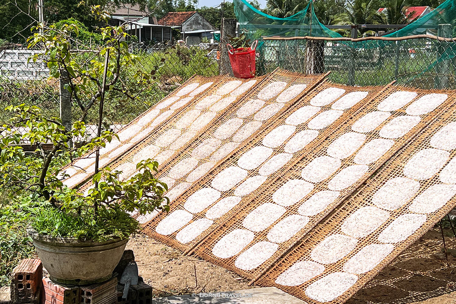 Reispapier-Produktion in Phù Cát,Vietnam2025,born4travel.de Reispapier-Produktion in Phù Cát,,Vietnam2025,born4travel.de